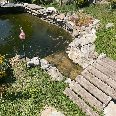 Appartamento рак *