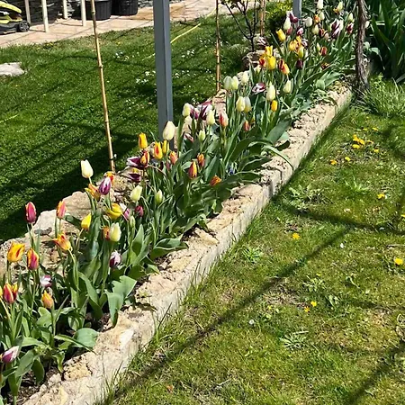 рак Апартаменты