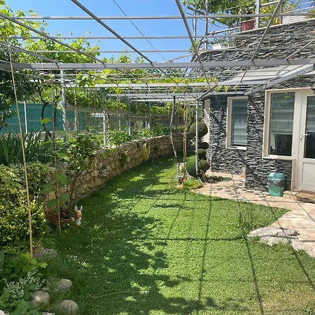 рак Apartament