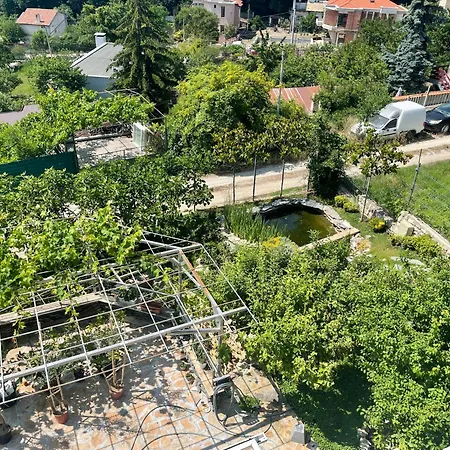 рак Varna