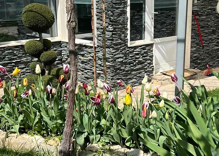 рак Apartament Varna