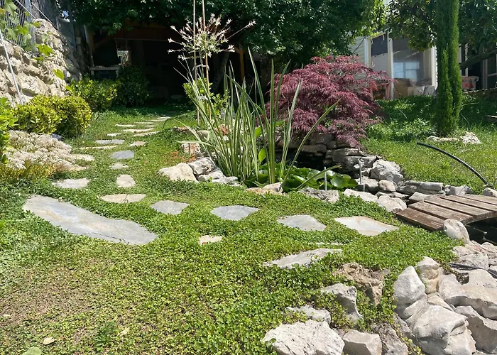 アパート рак *